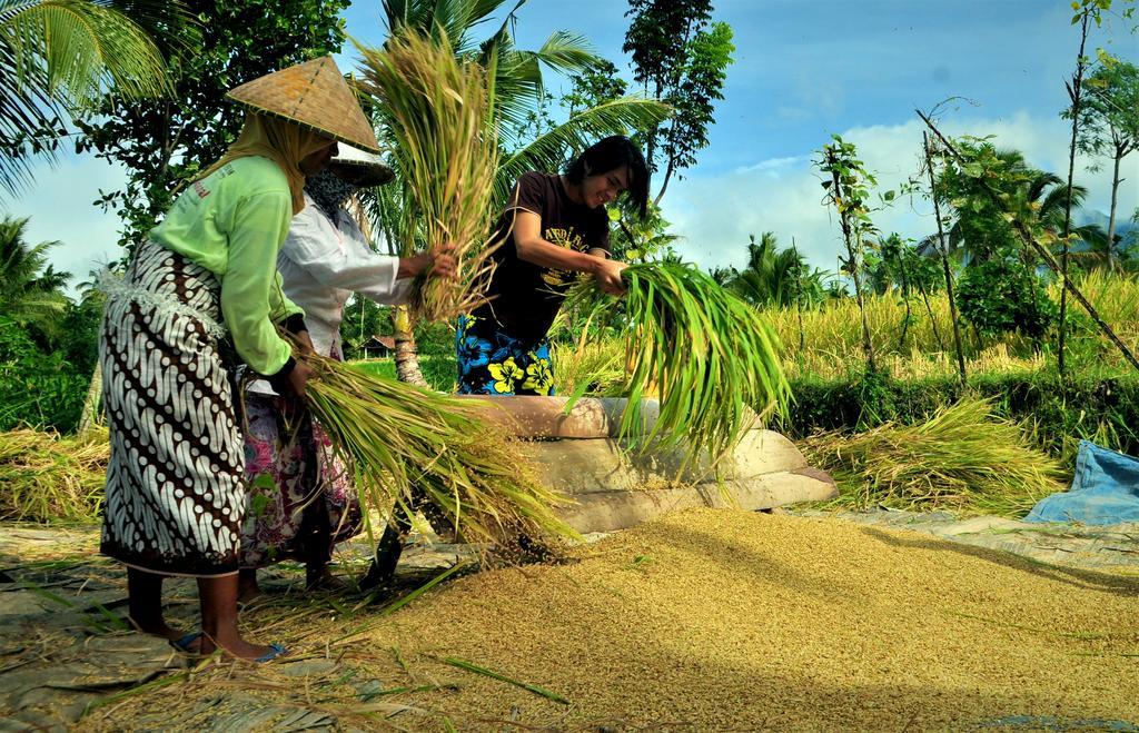 Kembang Kuning Cottages Tetebatu Eksteriør bilde