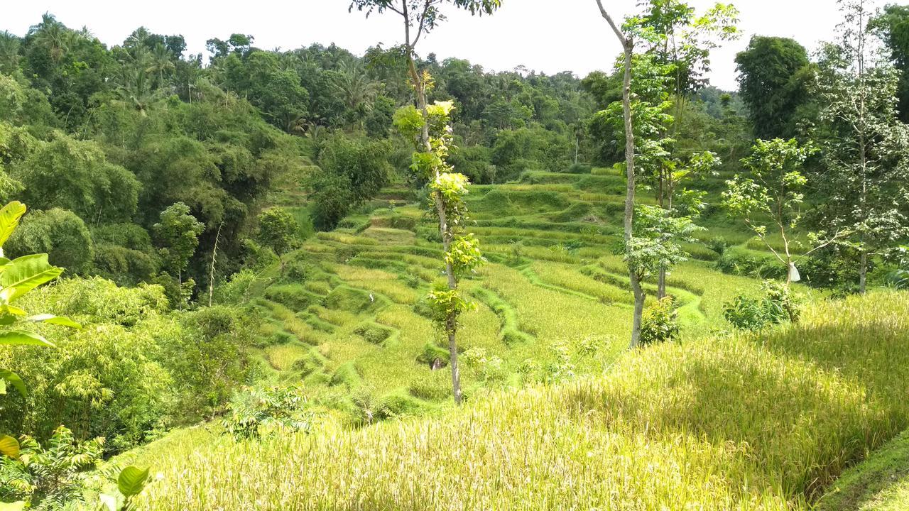 Kembang Kuning Cottages Tetebatu Eksteriør bilde